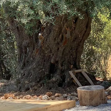 וילה Bademlique Stone House קס